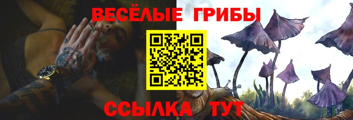 Псилоцибиновые грибы прущие грибы Нефтекамск